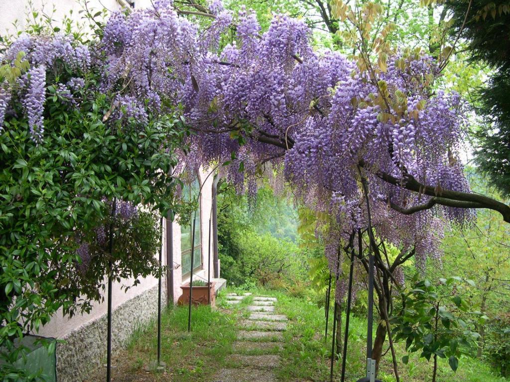 B&B Four Winds Follina Екстер'єр фото